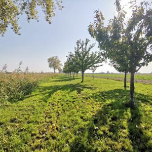 Nachhaltige Gemeinde: Natur und das menschliche Wohl als Symbiose