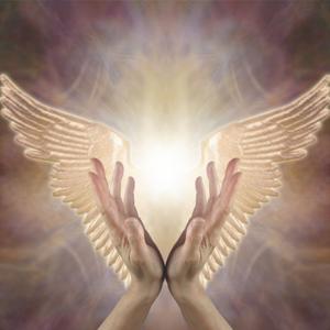 Salmi, un aiuto dagli Angeli