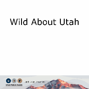 Wild About Utah