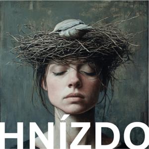 Hnízdo