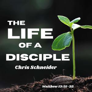 The Life of a Disciple