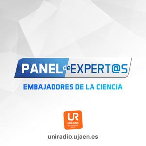 PANEL DE EXPERTOS