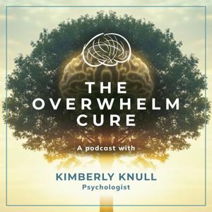 The Overwhelm Cure