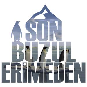 Son Buzul Erimeden