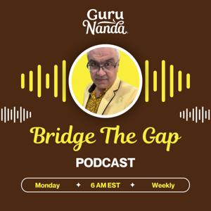 Bridge The Gap