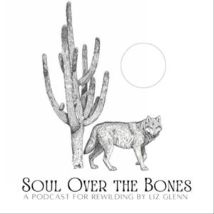 Soul Over the Bones