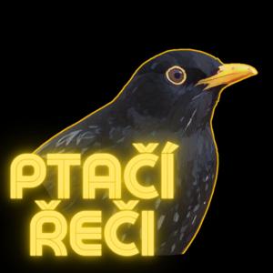 Ptačí řeči