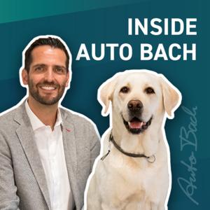 Inside Auto Bach
