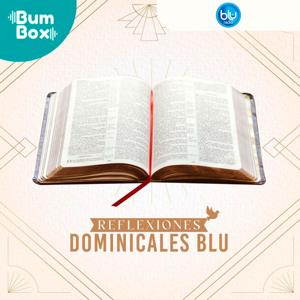 Reflexión Dominical