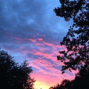 Tamah's Torah Teaching
