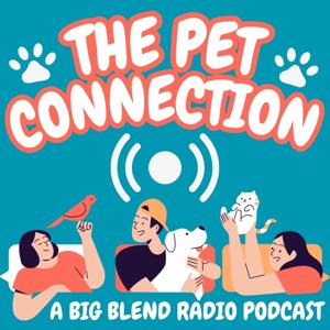 The Pet Connection