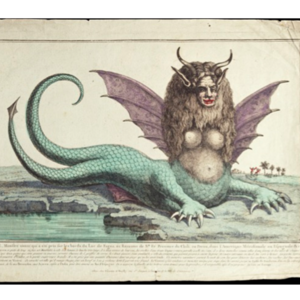 History Harpies
