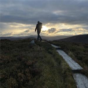 TheWanderingPaddy by TheWanderingPaddy James Mooney
