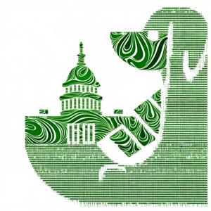 Decoding Gov Efficiency: DOGE Guide to DC