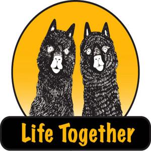 Life Together with The Two Alpacas