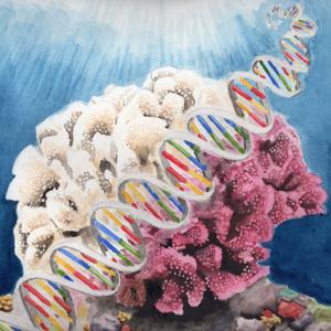 Coral Currents Podcast