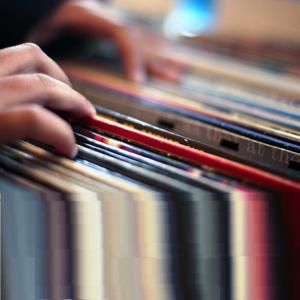 Bill's Big Bag of MUSICOLOGIES