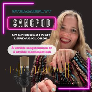 Stemmeflyt sangpod