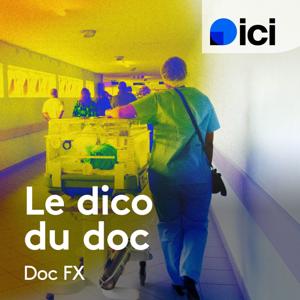 Le dico de Doc FX - ici Lorraine