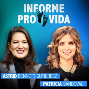 Informe provida