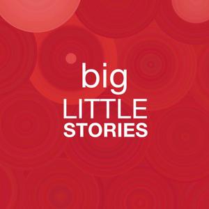 Big Little Stories