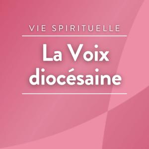 La voix diocésaine : la bibliothèque Grammont visitée