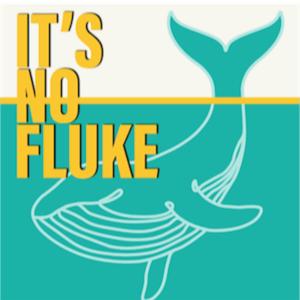 It's No Fluke