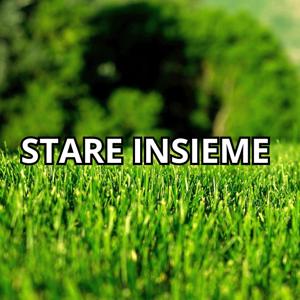 Stare Insieme