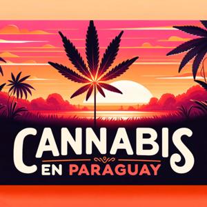Cannabis en Paraguay