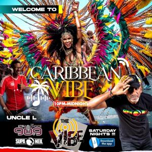 Caribbean Vibe Houston Artist Interviews