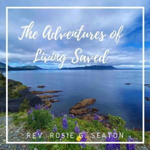 The Adventures Of Living Saved