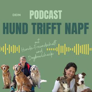 Hund trifft Napf