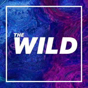 The Wild Youth Podcast