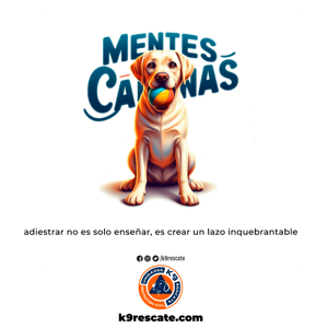 Mentes caninas