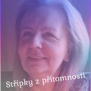 Střípky z přítomnosti