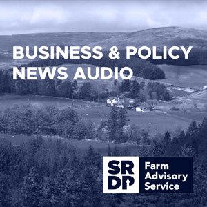 Business & Policy News Audio