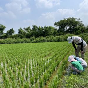 語言治療師的育兒小日子