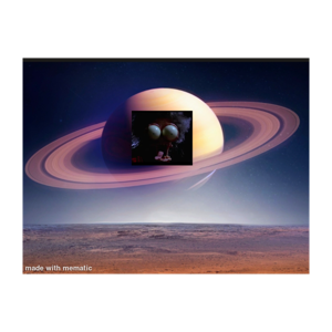 8675309 FM: Waste of Space Intergalactic call-in radio