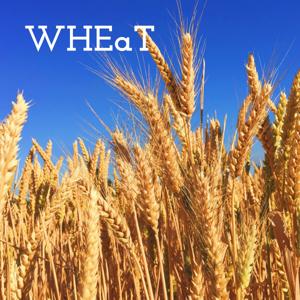 WHEaT - Where Heaven and Earth are Touching