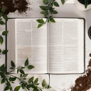 Sermons from Faith Mennonite Church