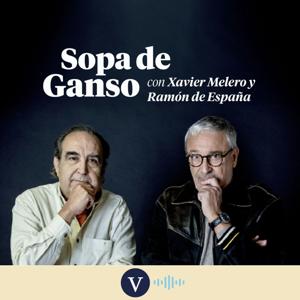 Sopa de ganso