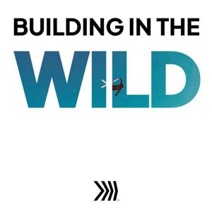Building in the Wild