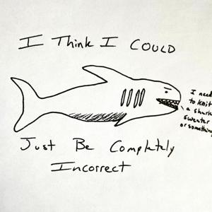 I Think I Could Just Be Completely Incorrect