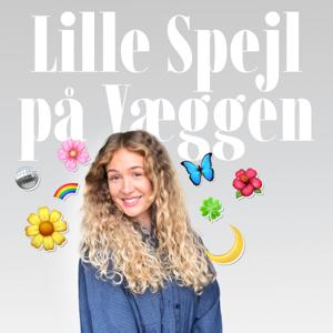 Lille Spejl på Væggen