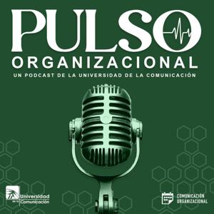 Pulso Organizacional