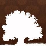 Countryside Christian Fellowship Sermons