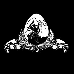 The Poultry Network Podcast