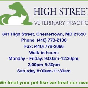Pet Patter with Dr. Rachel Crockett
