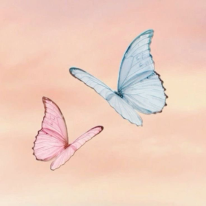 Barbie music I can’t find