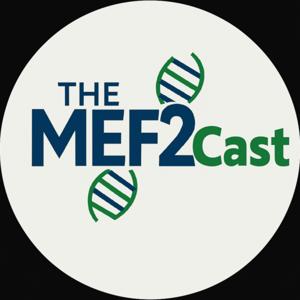 MEF2Cast